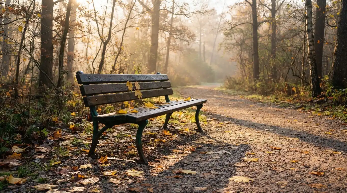 En tom parkbänk en höstmorgon, gula lönnlöv på stigen och låg sol mellan träden — svenska internet casinon